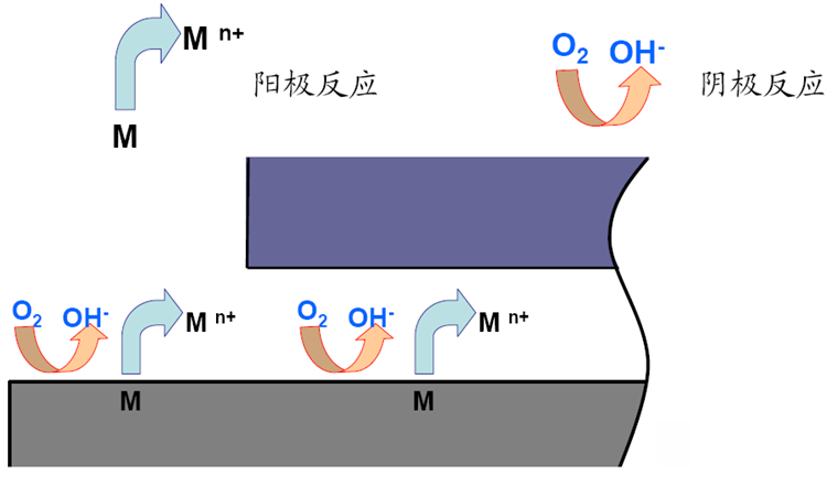 阳极和阴极反应